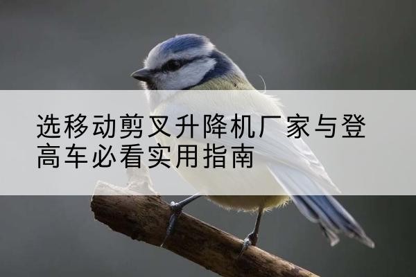 张湾电动升降机厂家-选移动剪叉升降机厂家与登高车必看实用指南