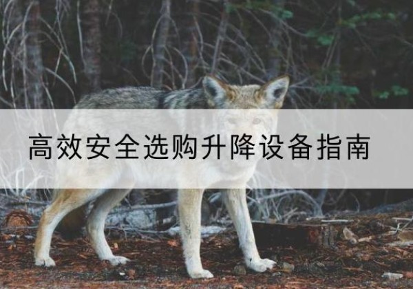 张湾升降货梯厂家推荐-*安全选购升降设备指南