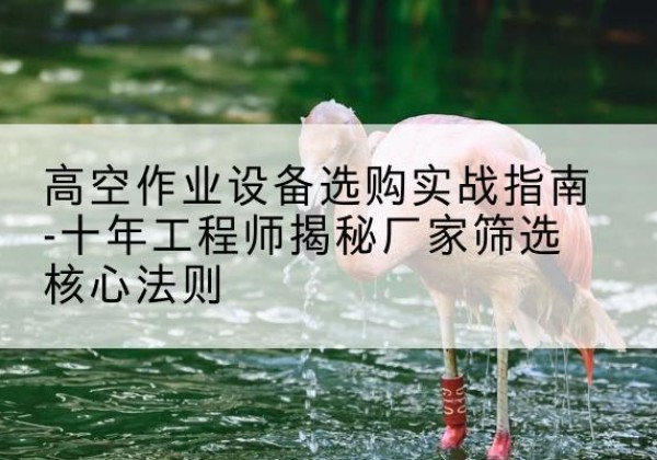 张湾剪叉式升降机厂家-高空作业设备选购实战指南-十年工程师揭秘厂家筛选核心法则